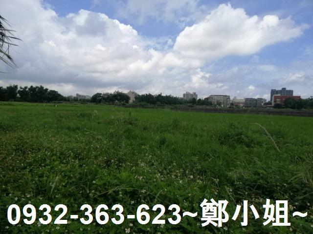 桃園區農地-8