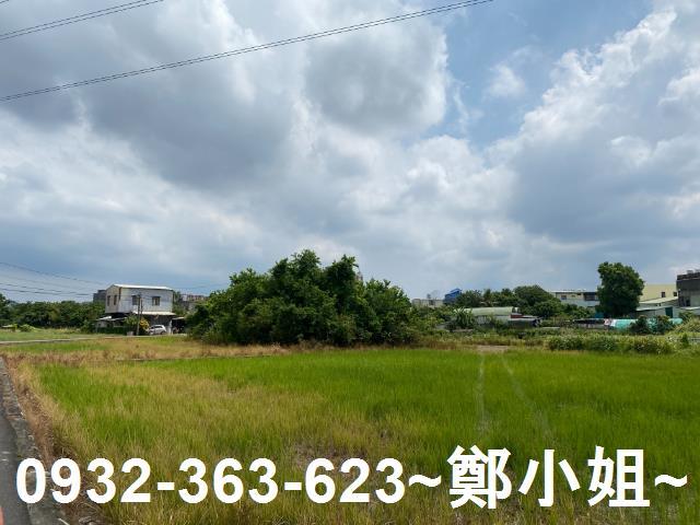 桃園農地-1