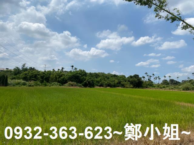 桃園農地-4