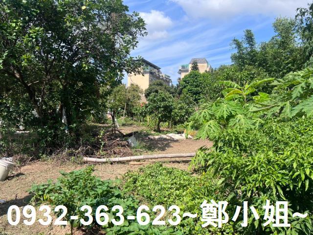 桃園桃園區農地-9
