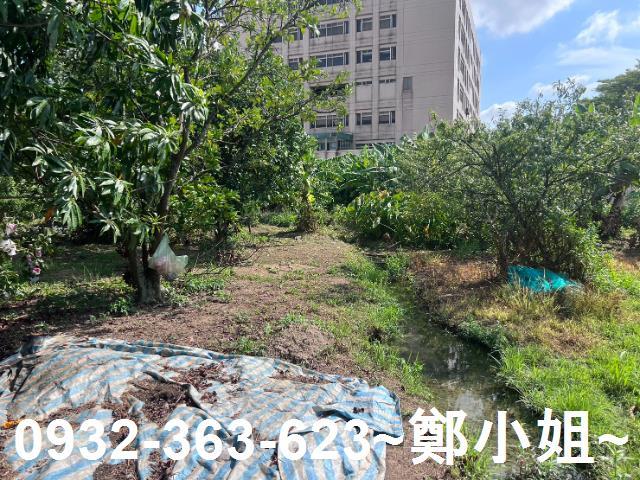 桃園桃園區農地-10