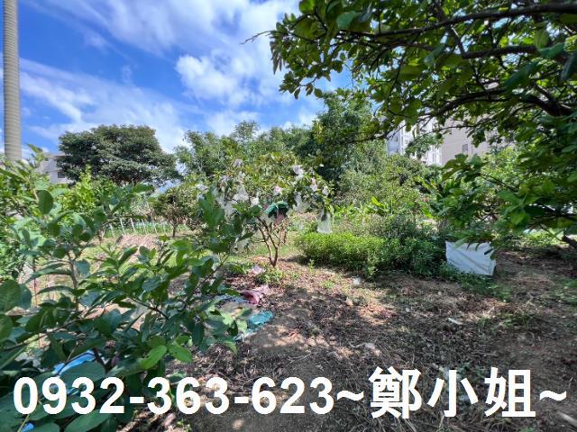桃園桃園區農地-12