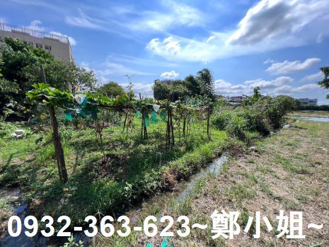 桃園桃園區農地-14