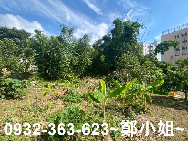 桃園桃園區農地-1
