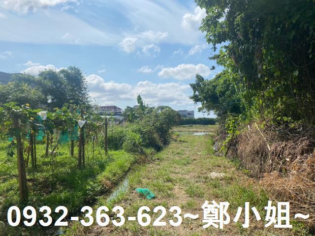 桃園桃園區農地-0