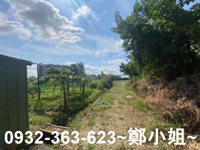桃園桃園區農地-2