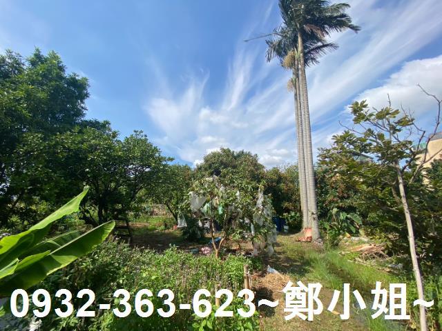 桃園桃園區農地-3