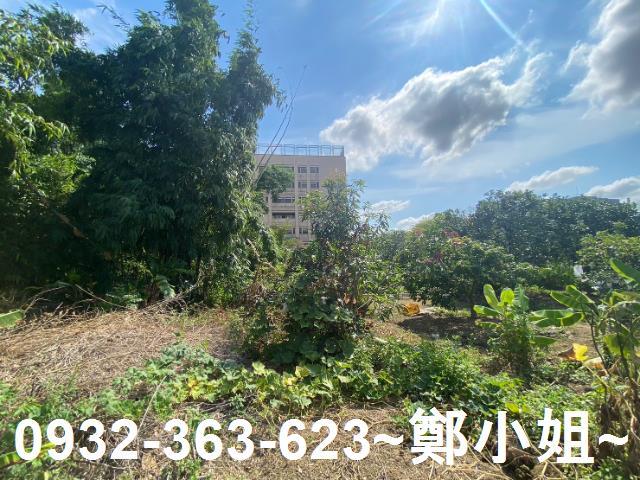 桃園桃園區農地-4