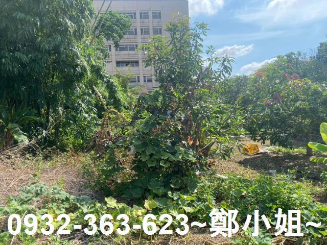 桃園桃園區農地-5