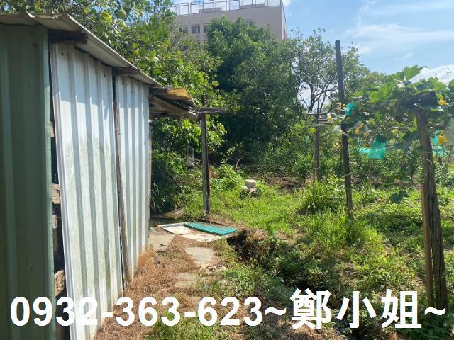桃園桃園區農地-6
