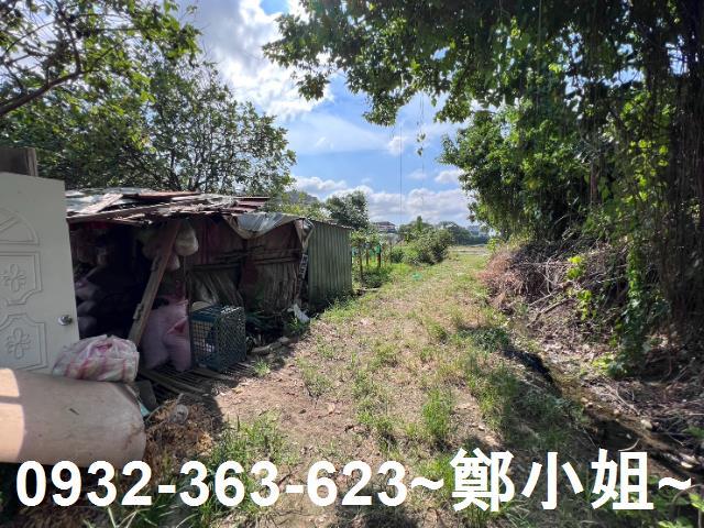 桃園桃園區農地-7