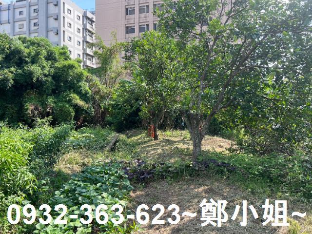 桃園桃園區農地-8
