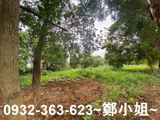 桃園蘆竹農地-14