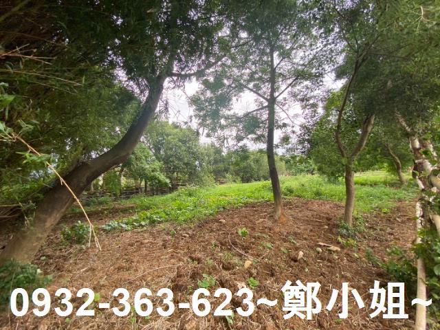 桃園蘆竹農地-2