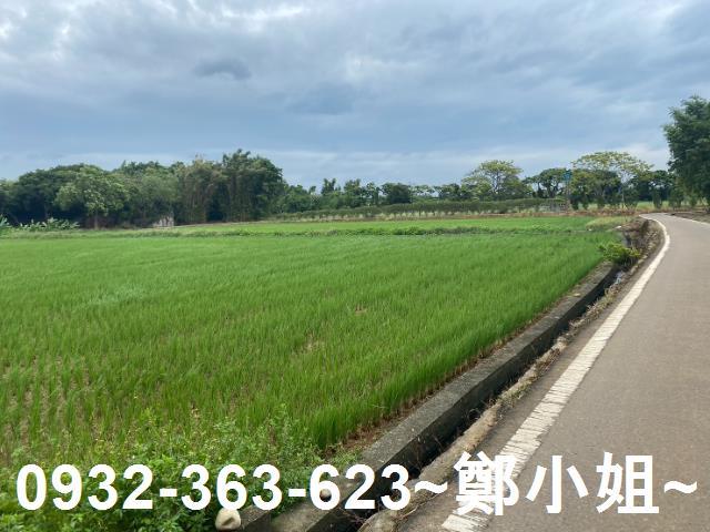 桃園蘆竹農地-5