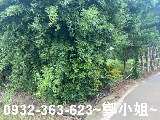 桃園蘆竹農地-6