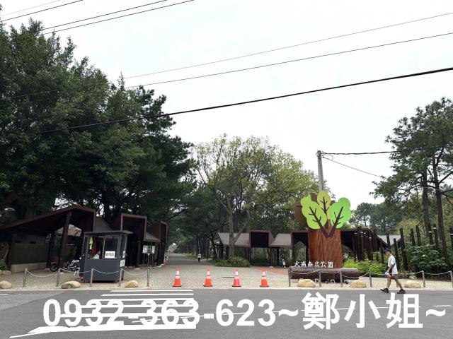桃園八德農地-0