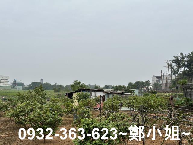 桃園八德農地-5