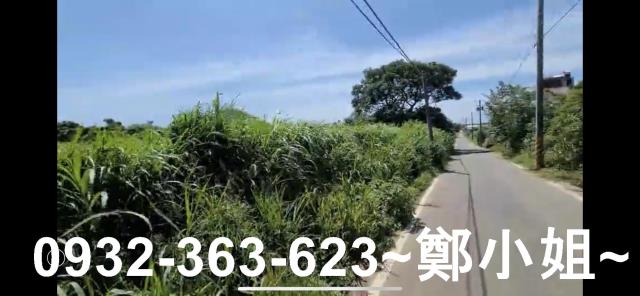 楊梅農地-3