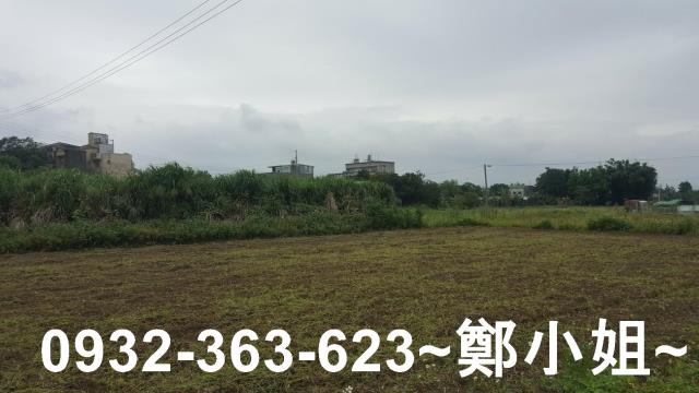 桃園農地-3