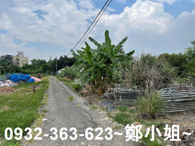桃園農地-3