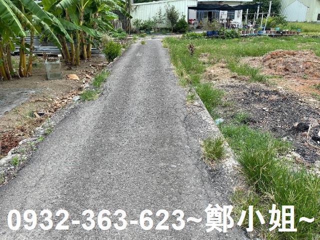 桃園農地-5