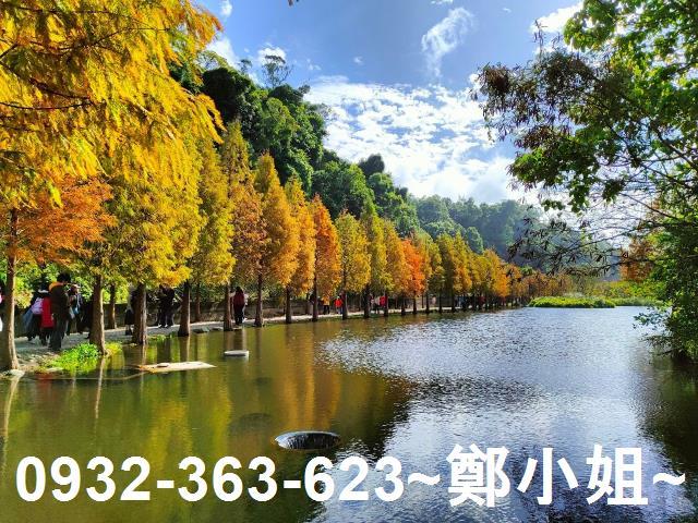 大溪農地-8