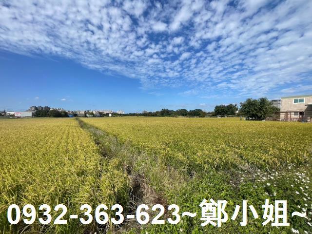八德農地-2
