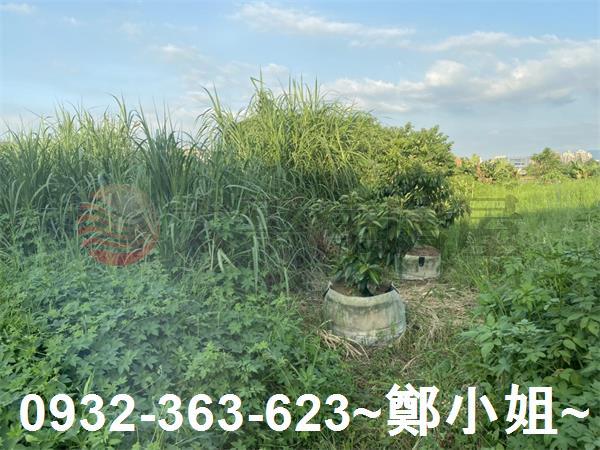 桃園八德農地-9