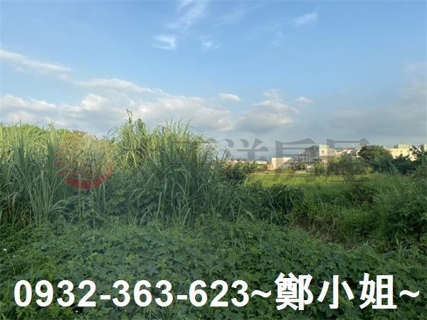 桃園八德農地-6