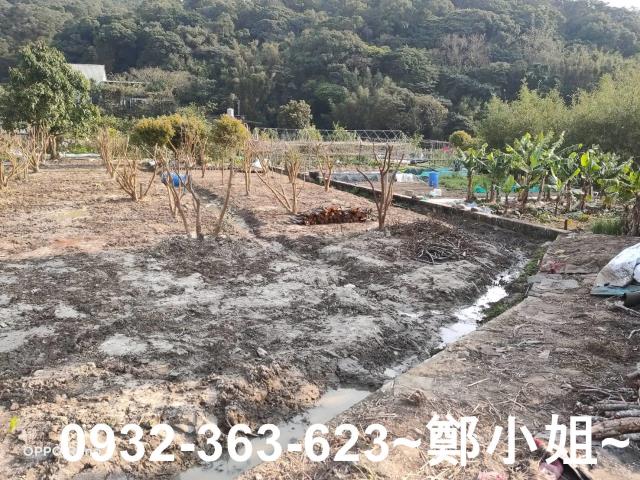 桃園蘆竹農地-0