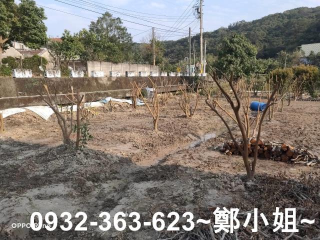 桃園蘆竹農地-3