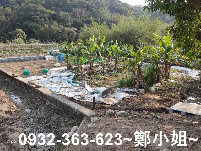 桃園蘆竹農地-4