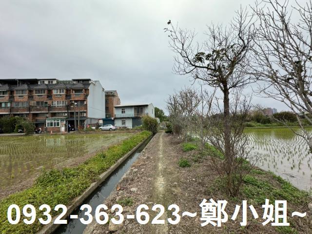 平鎮農地-8
