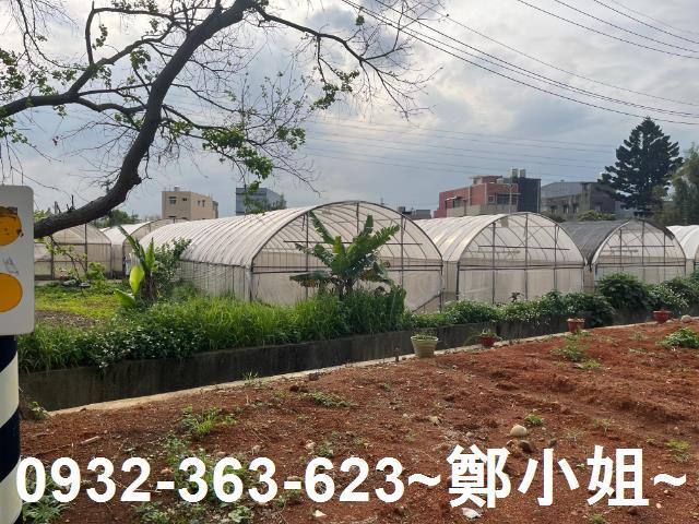 桃園桃園區農地-4