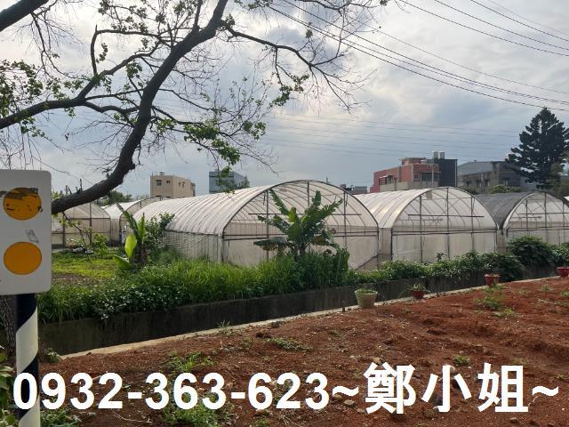 桃園桃園區農地-5