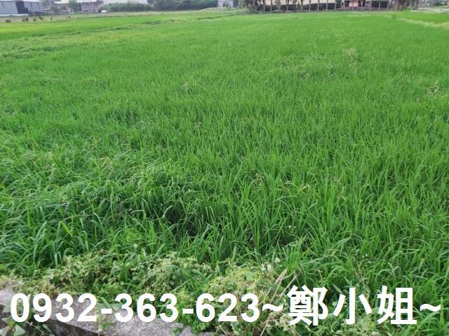 桃園農地-1