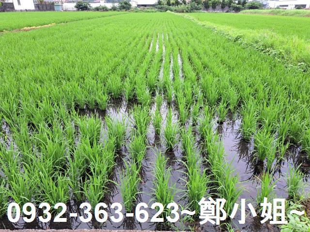 桃園農地-6