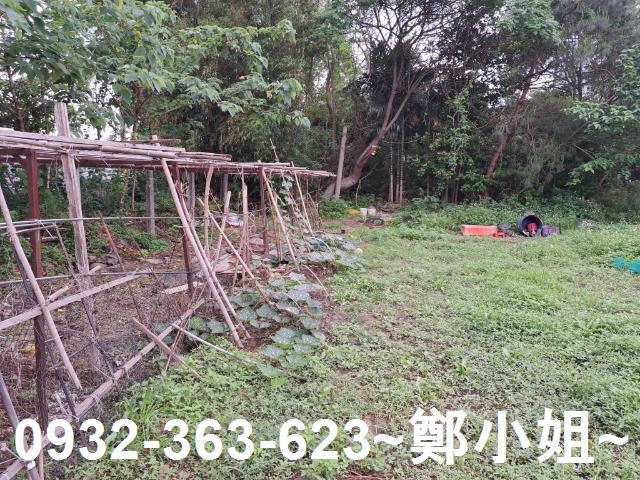 蘆竹農地-0
