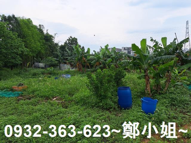 蘆竹農地-2