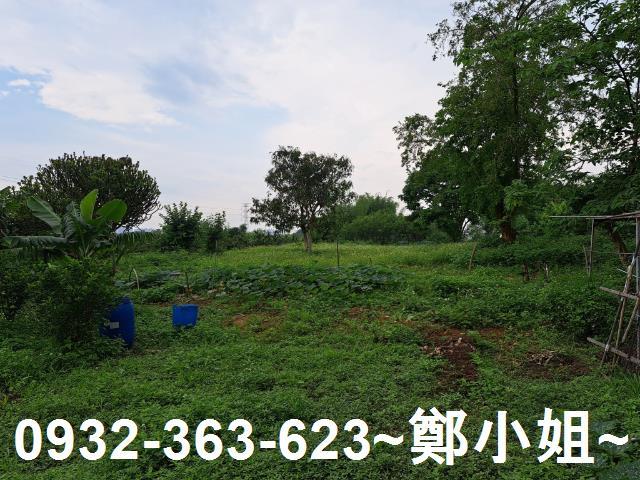 蘆竹農地-3