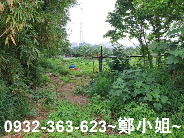 蘆竹農地-4