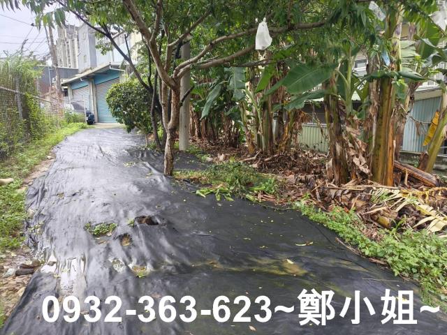 桃園桃園區農地-1