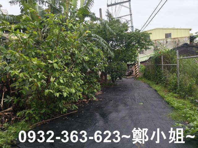桃園桃園區農地-3
