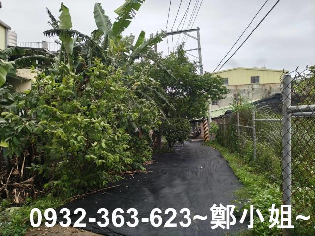 桃園桃園區農地-5