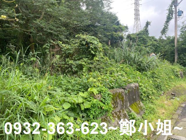 桃園平鎮農地-10