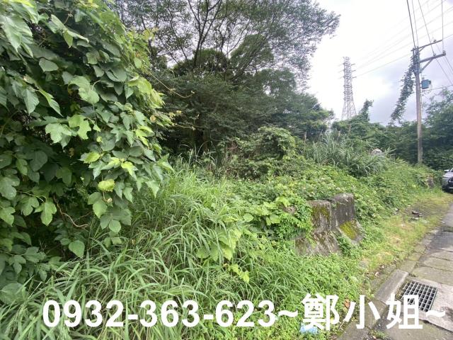 桃園平鎮農地-2