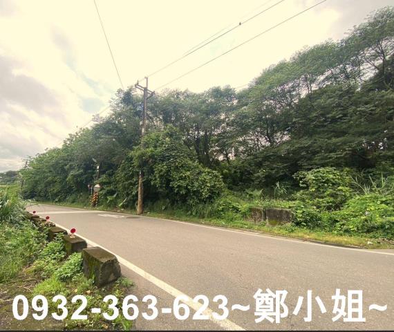 桃園平鎮農地-8