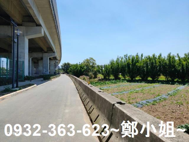 桃園農地-6
