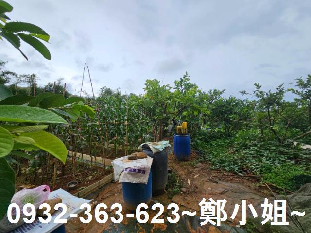 桃園農地-11